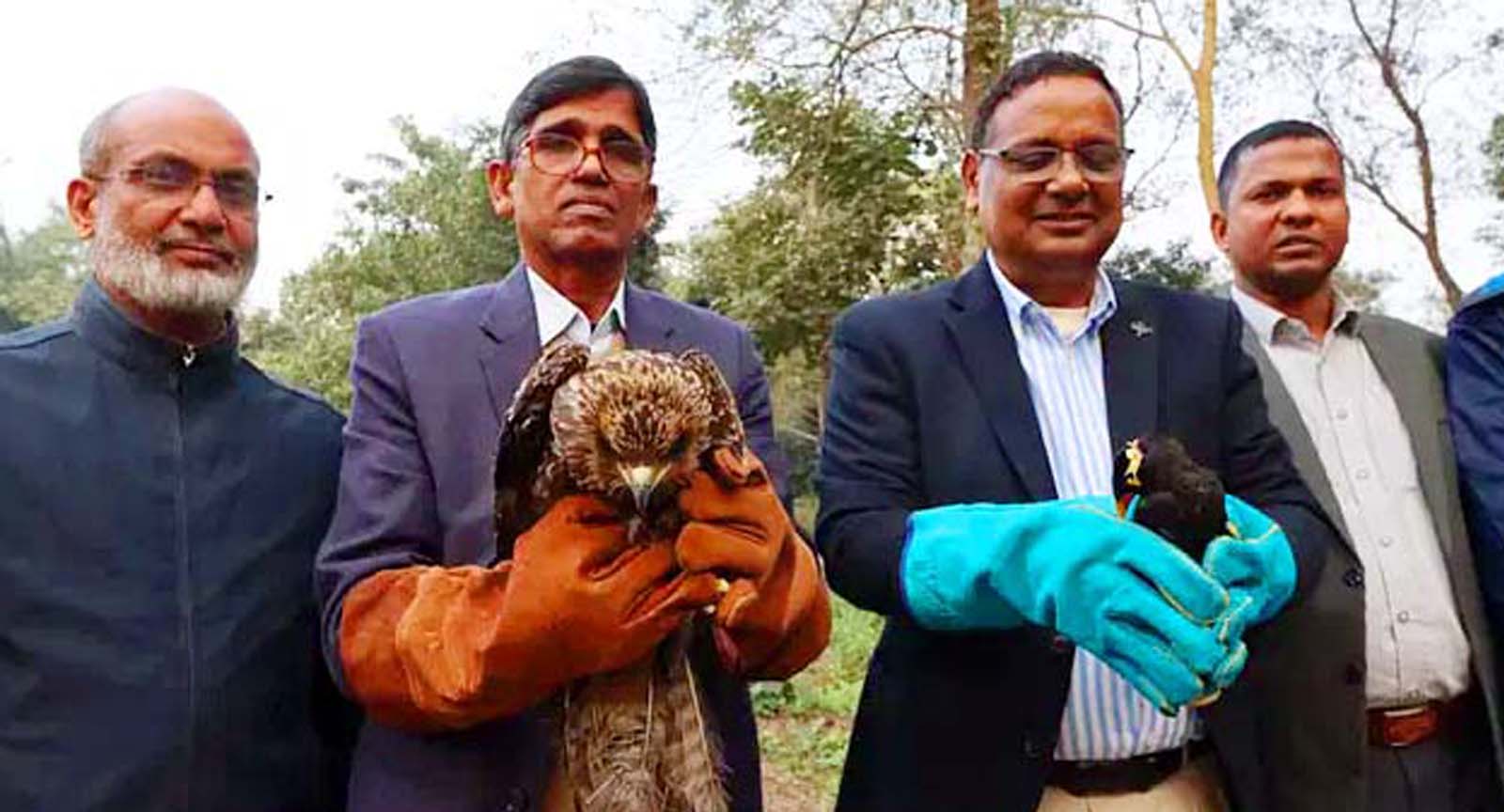 পাহাড়ি ময়নার সঙ্গে মুক্ত আকাশে ডানা মেলল ভুবন চিল
