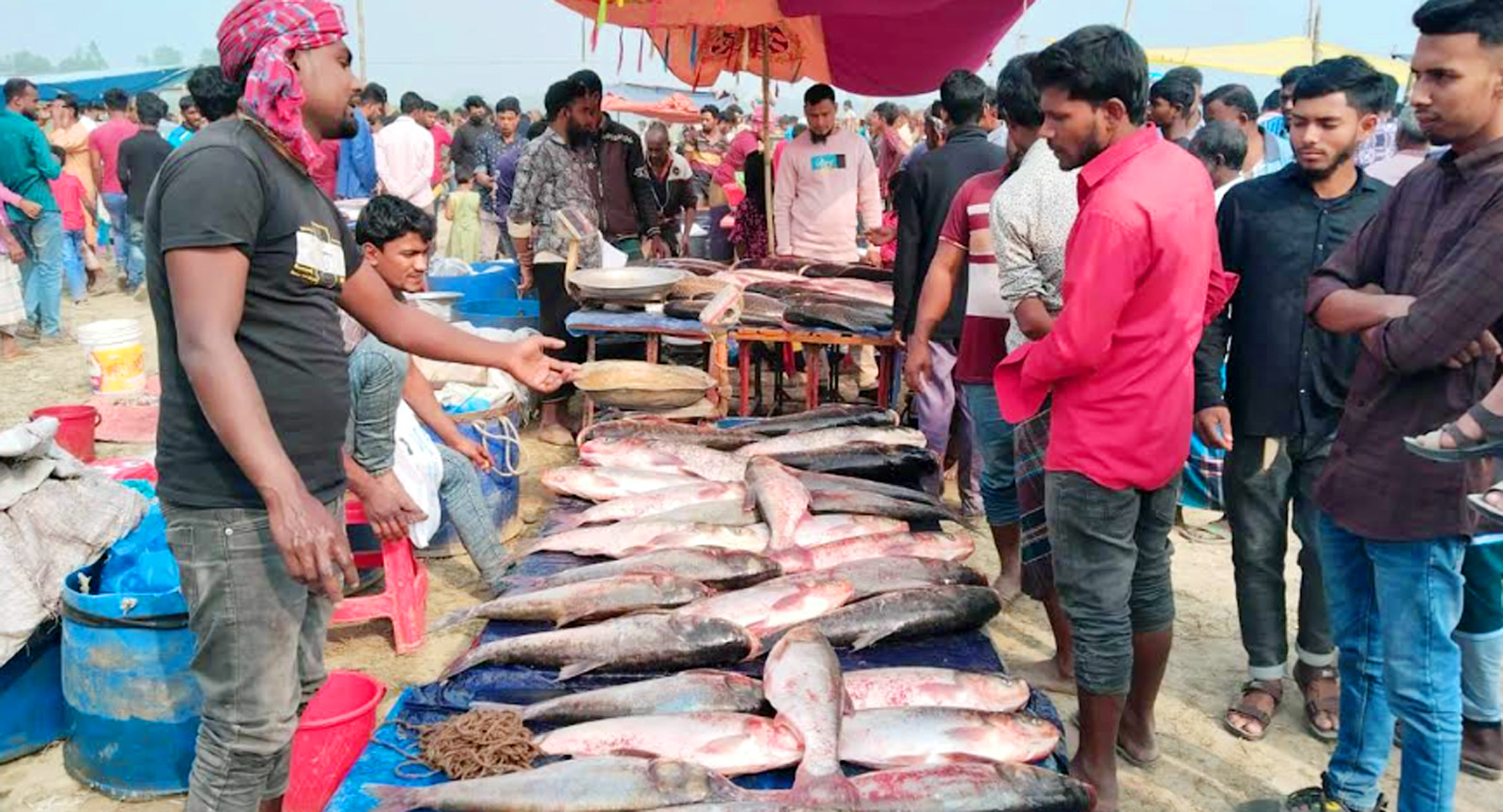 ধুনটে বকচর মেলায় মাছ মিষ্টিতে জামাই উৎসব