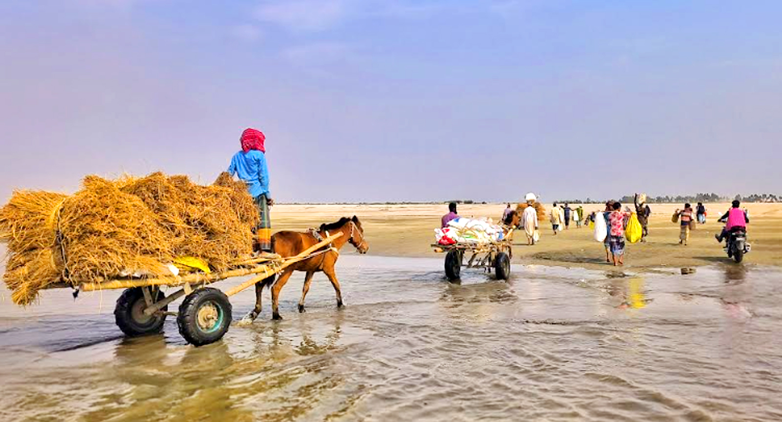 চরাঞ্চলে জনপ্রিয় হয়ে উঠেছে “টাট্টু ঘোড়ার গাড়ি”