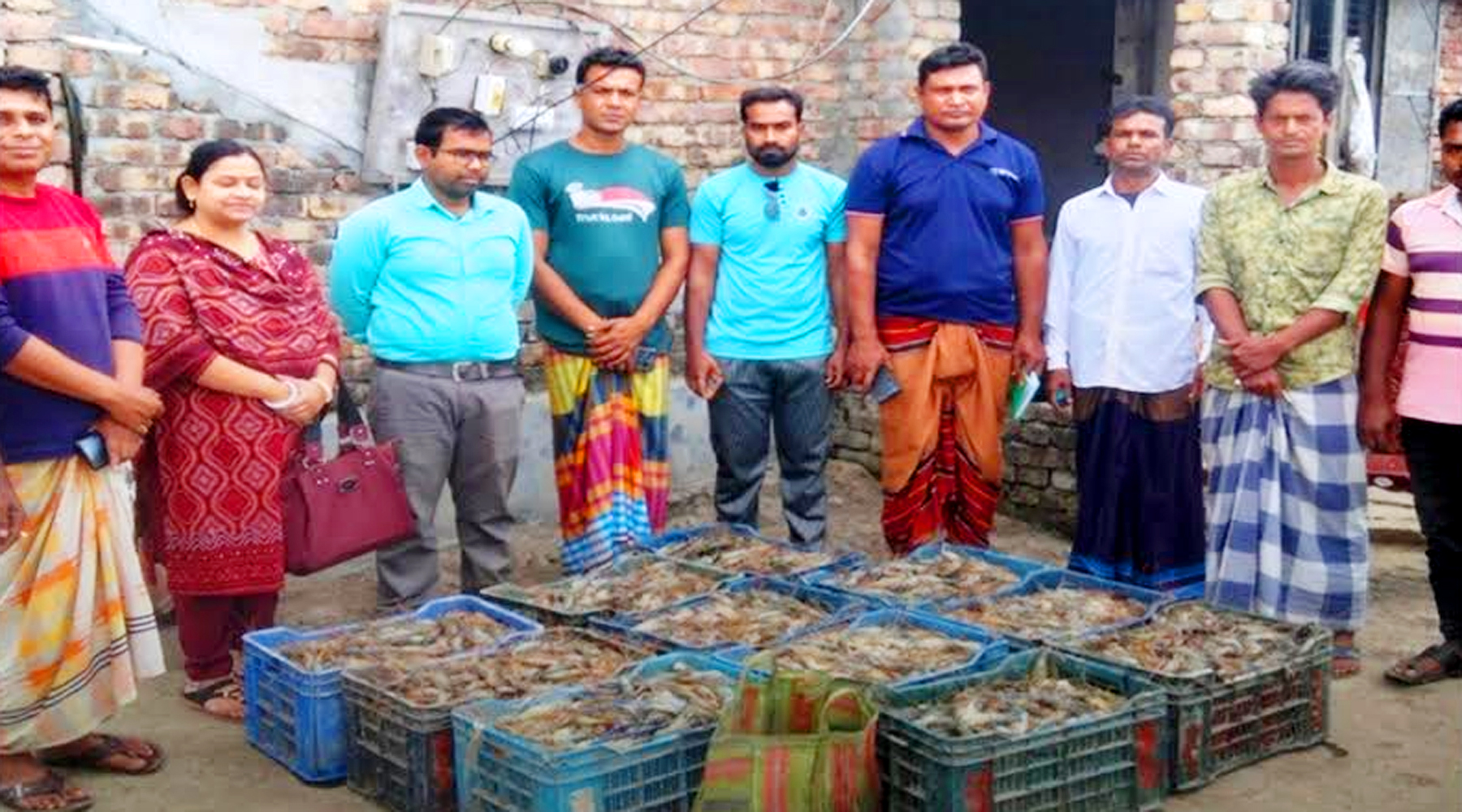 ক্লাস্টার পদ্ধতিতে চাষ করা সাতক্ষীরার গলদা চিংড়ি এখন বিশ্ব বাজারে