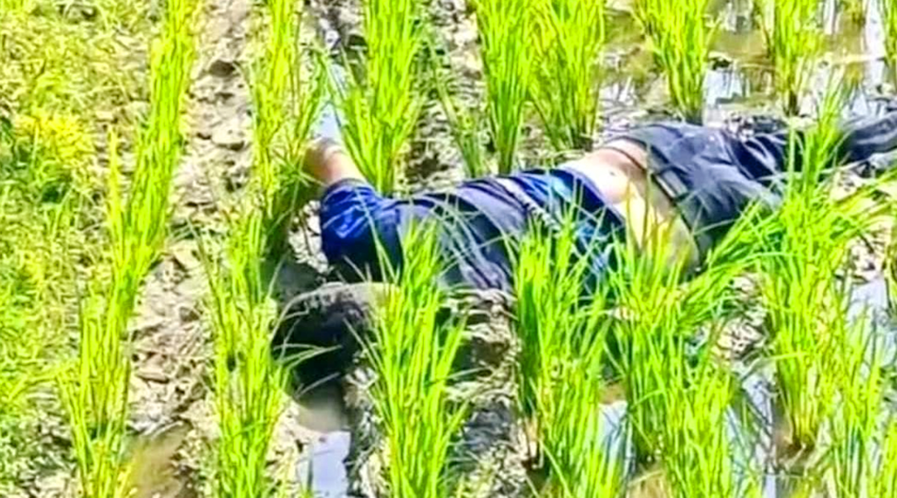 সিরাজগঞ্জের দুই উপজেলা থেকে তিন যুবকের মরদেহ উদ্ধার
