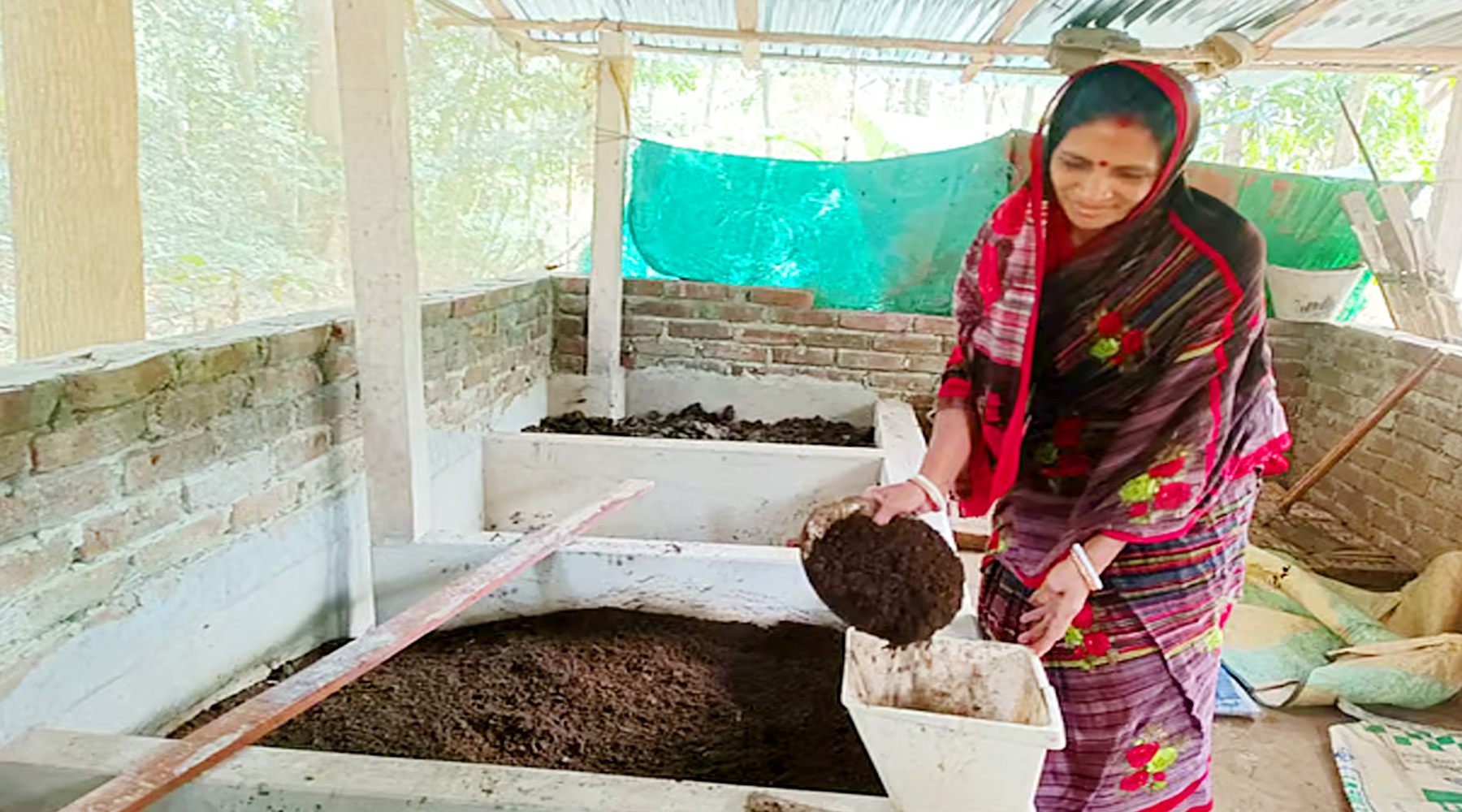 কেঁচো সার উৎপাদন করেন তারা