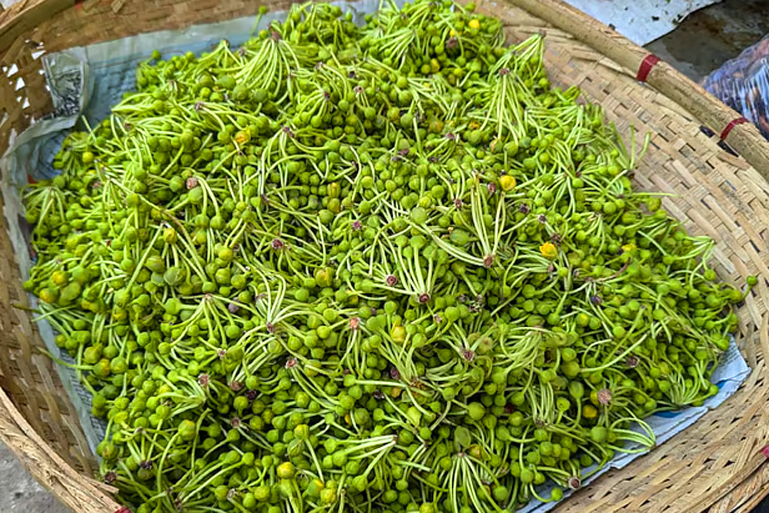 পাহাড়িদের প্রিয় সবজি ‘বিরল বন চালতার ফুল’