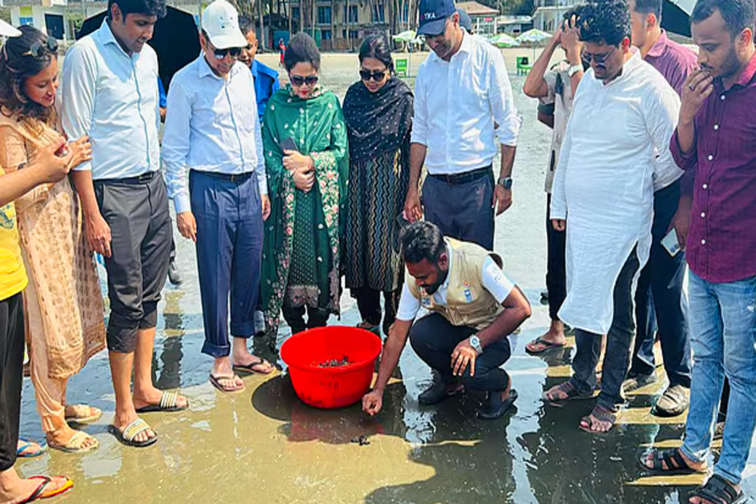হ্যাচারিতে জন্ম নেওয়া আরও ৫৪৪টি কাছিমছানা সাগরে ছাড়া হলো