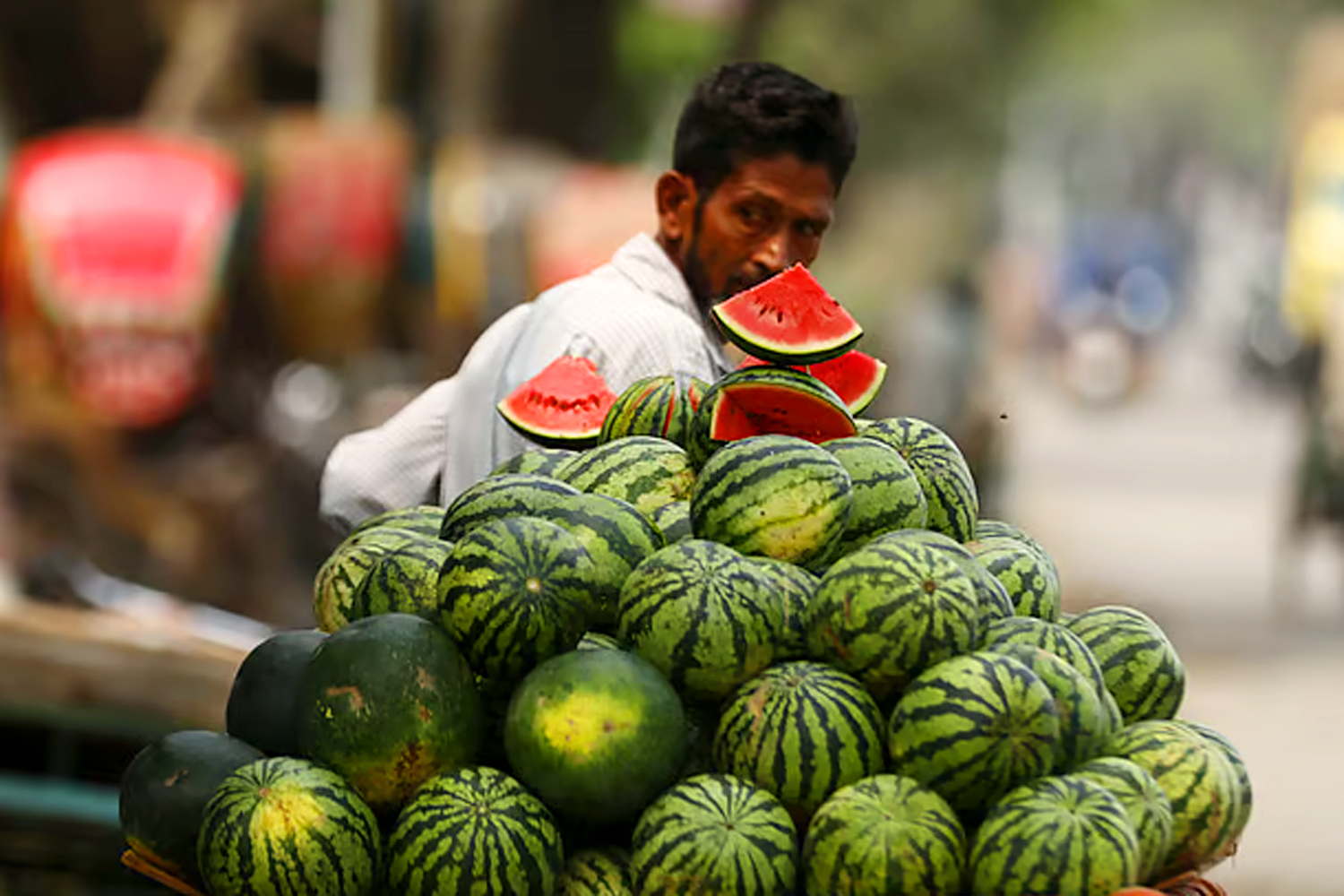 তরমুজের আড়তে...