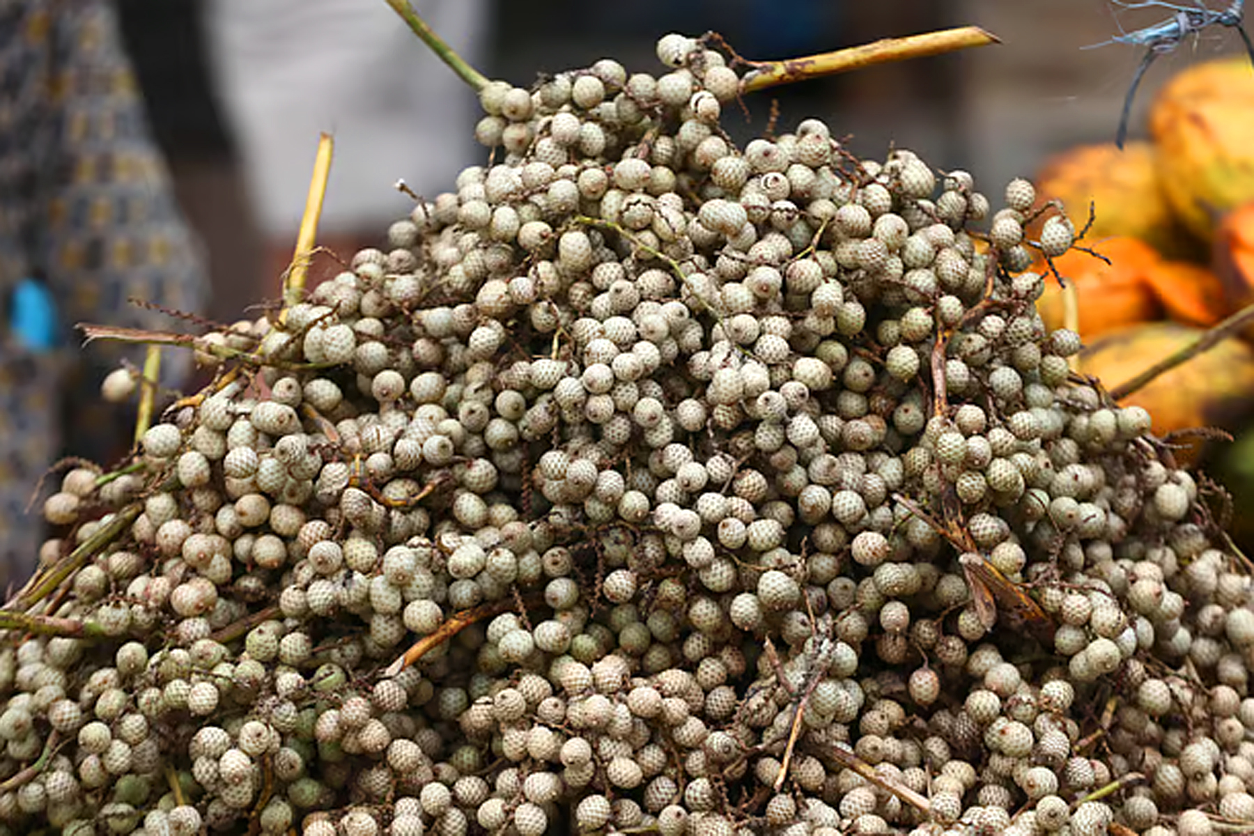 বেতফলের পসরা
