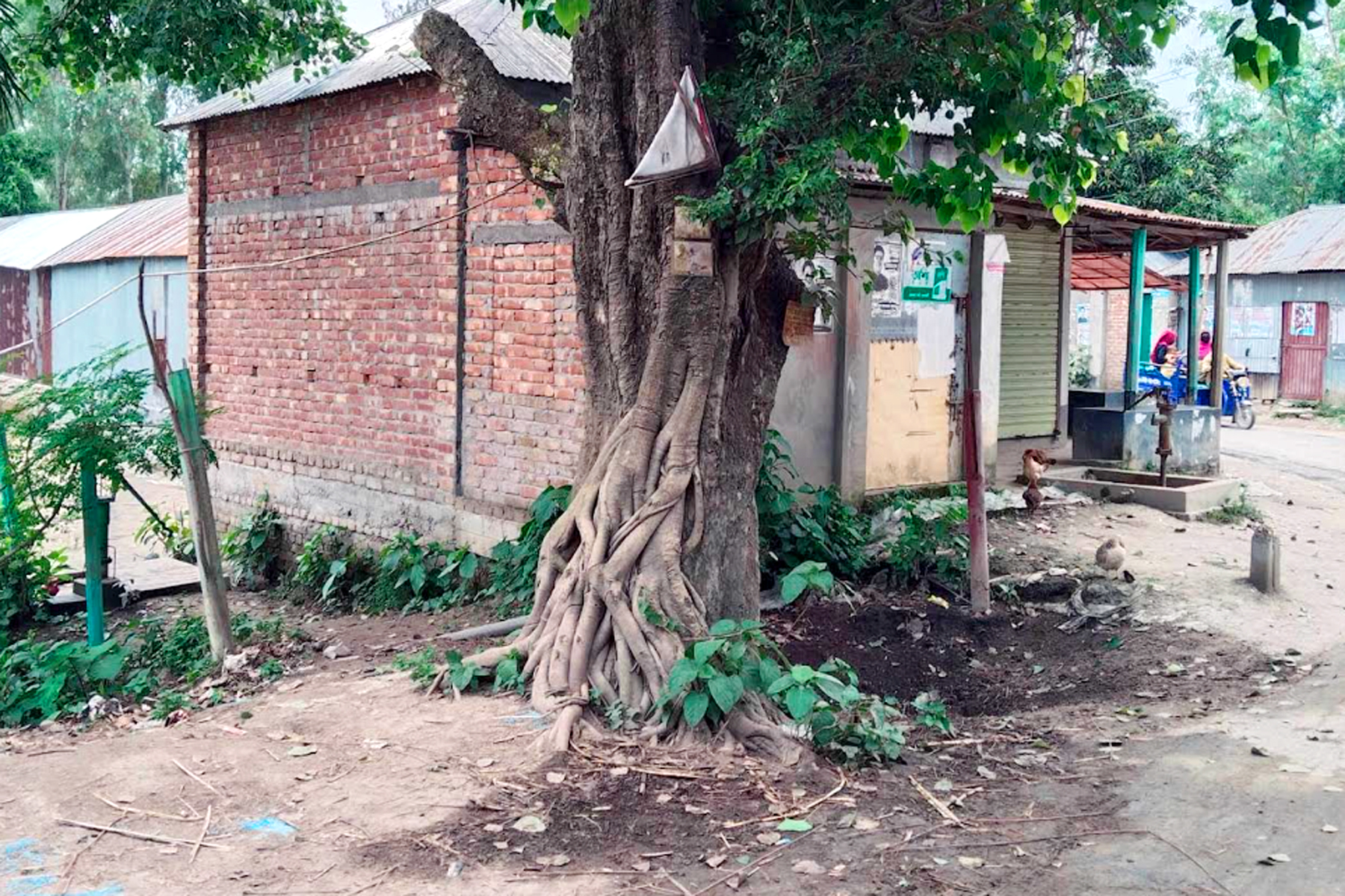 ধুনটে সরকারি জায়গায় যুবলীগ নেতার ব্যবসা প্রতিষ্ঠান