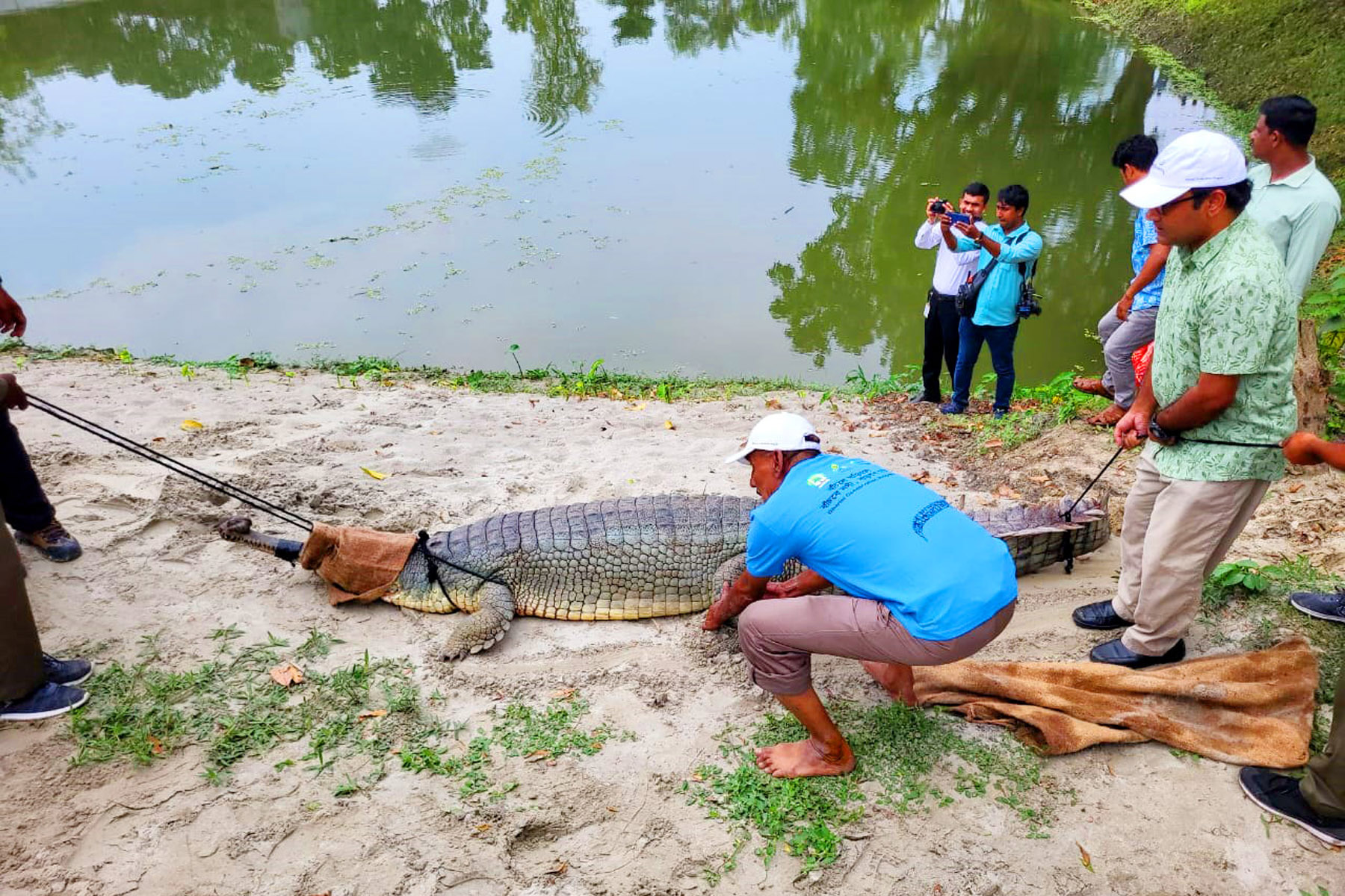 দেশের প্রথম ঘড়িয়াল প্রজননকেন্দ্র রাজশাহীতে