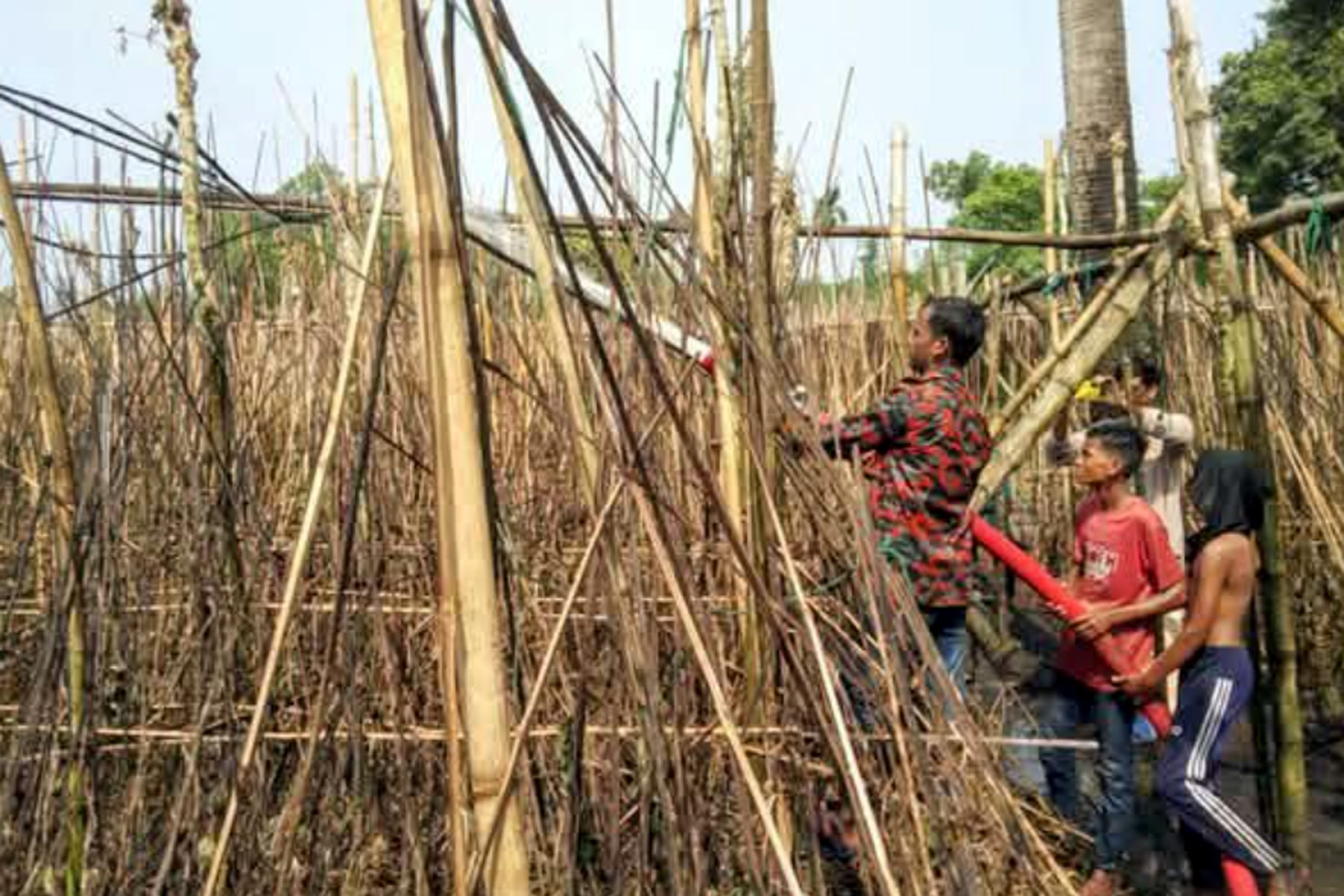 বাগমারায় পানবরজে আগুন, ২০ বিঘা জমির পান পুড়ে ছাই