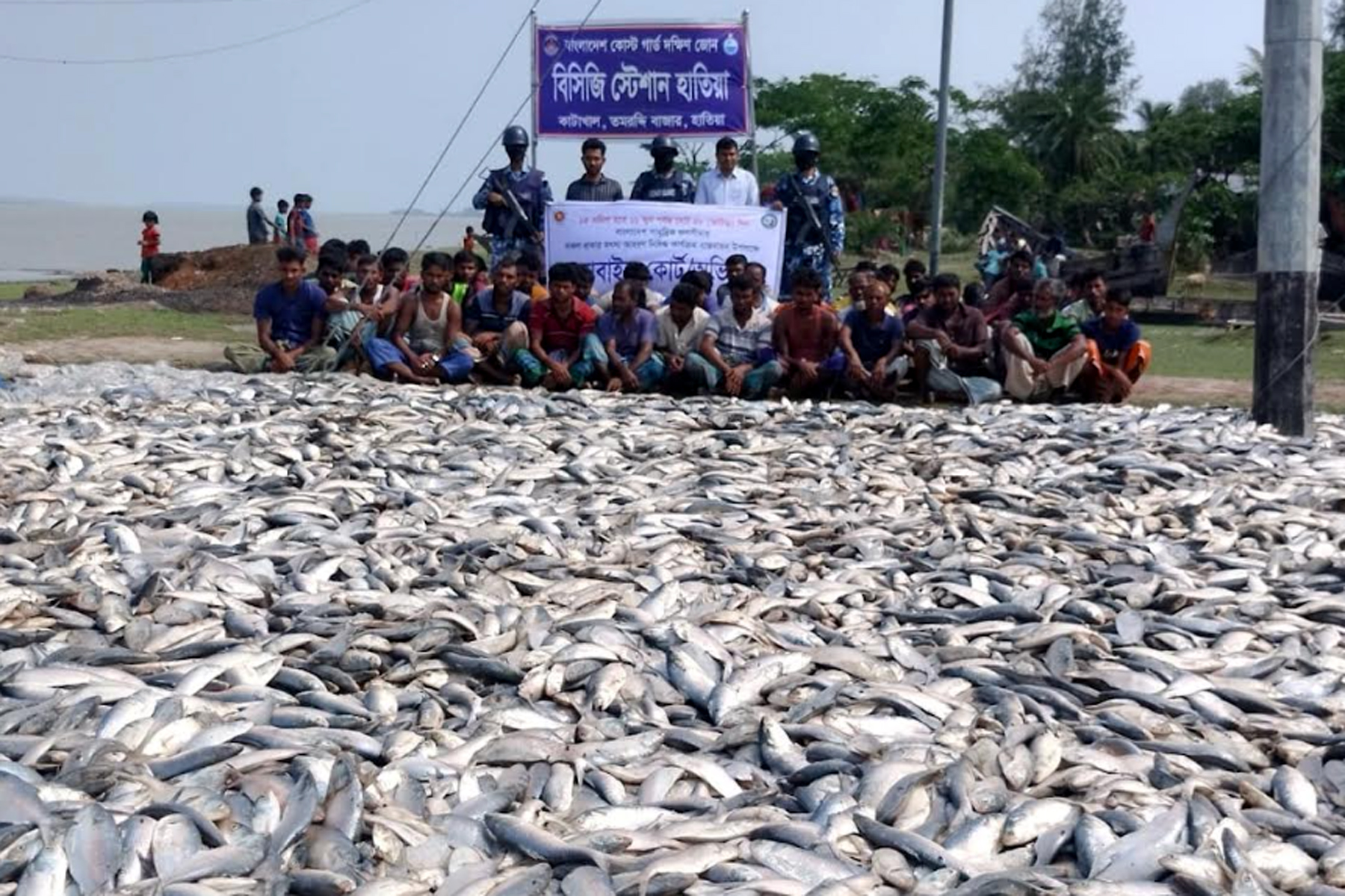 হাতিয়ায় ৬ হাজার কেজি ইলিশ জব্দ