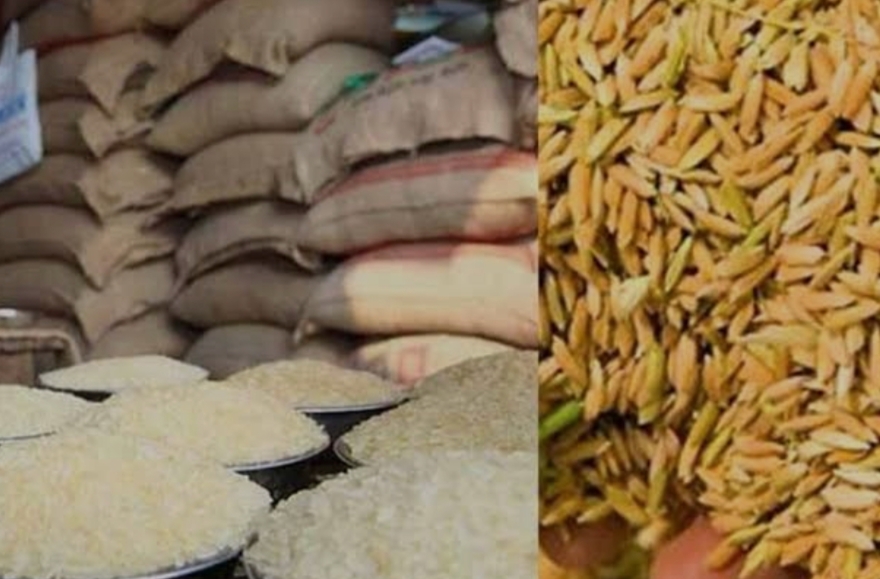 উল্লাপাড়ায় ২০ দিনে ৭৬০ মেট্রিক টন ধান-চাল সংগ্রহ