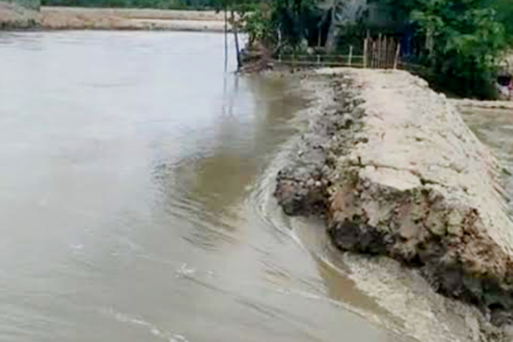 সাতক্ষীরার কপোতাক্ষ নদের বাঁধ ভেঙে ৪শ বিঘা মৎস্য ঘের প্লাবিত