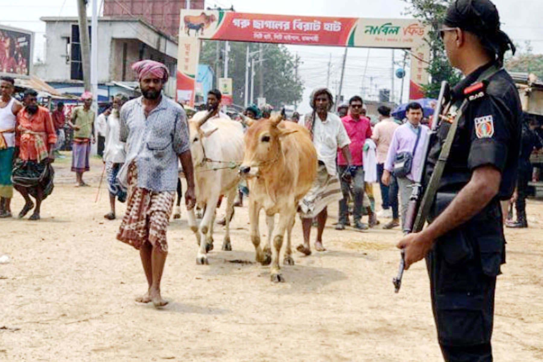 রাজশাহীতে পশুর-হাটের নিরাপত্তায় র‌্যাব, দিবে চিকিৎসা-সেবাও