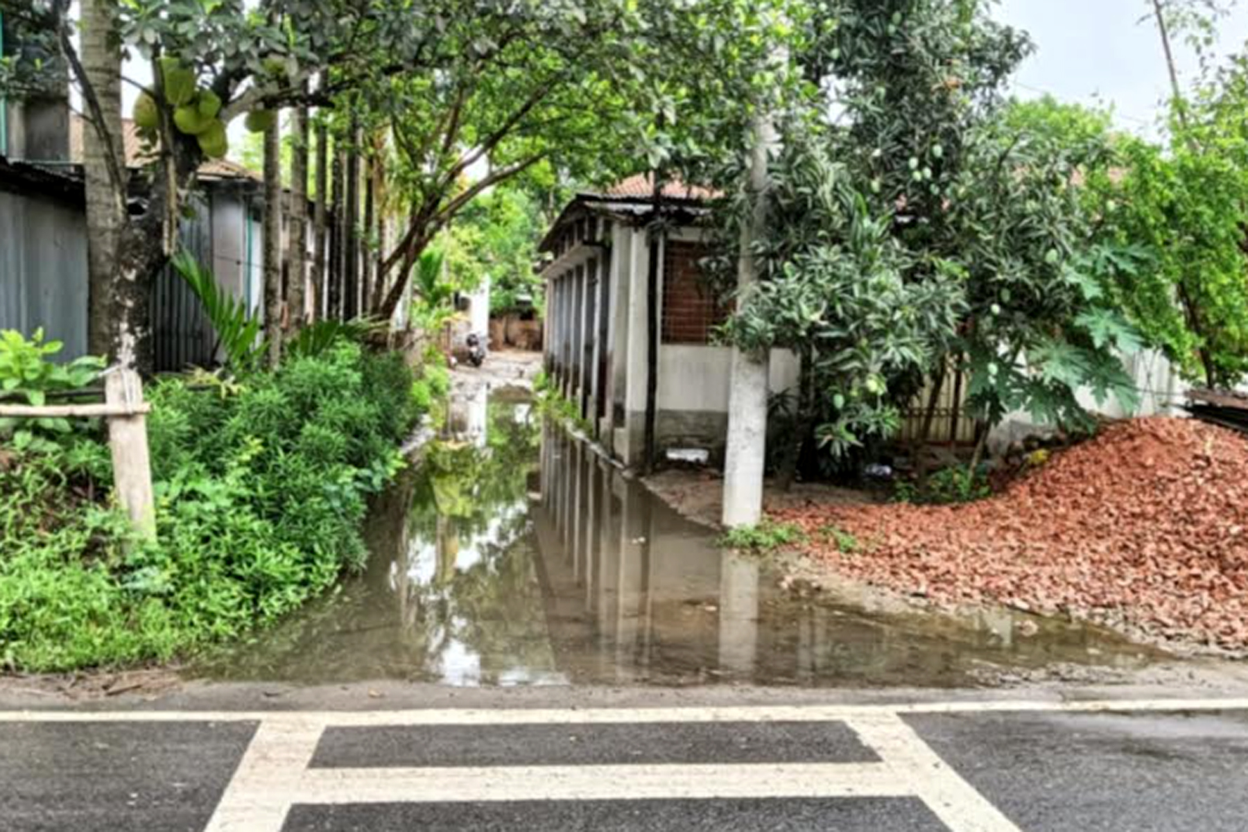 চার সড়কের ফেলা যাওয়া ঠিকাদারি প্রতিষ্ঠানের লাইসেন্স জব্দ
