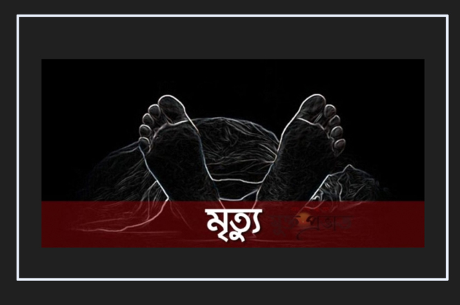 নানার বাড়িতে বেড়াতে এসে পুকুরে ডুবে ভাই-বোনের মৃত্যু