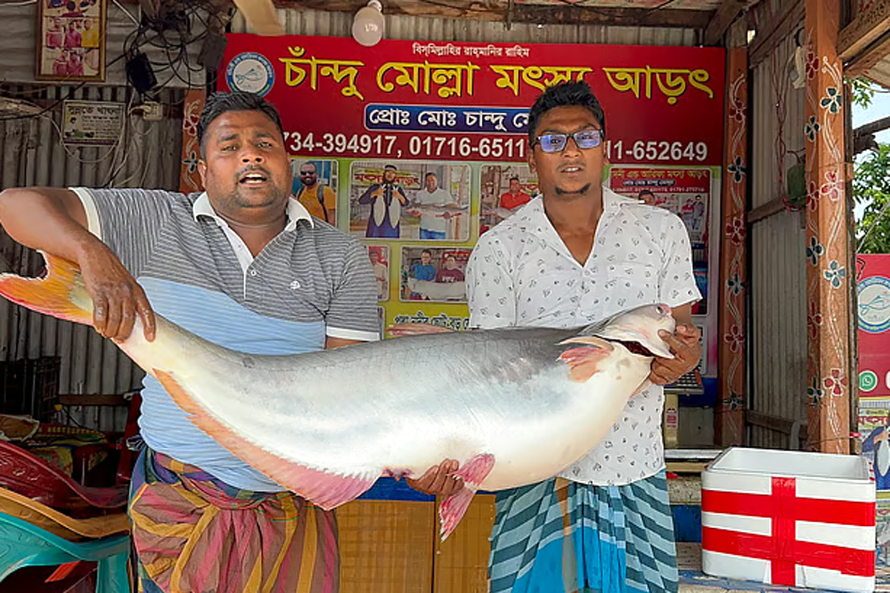 পদ্মার দুই পাঙাশ ৫৪ হাজারে বিক্রি