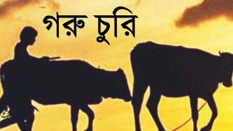 সাঁথিয়ায় গরীব কৃষকের দুইটি  গরু চুরি