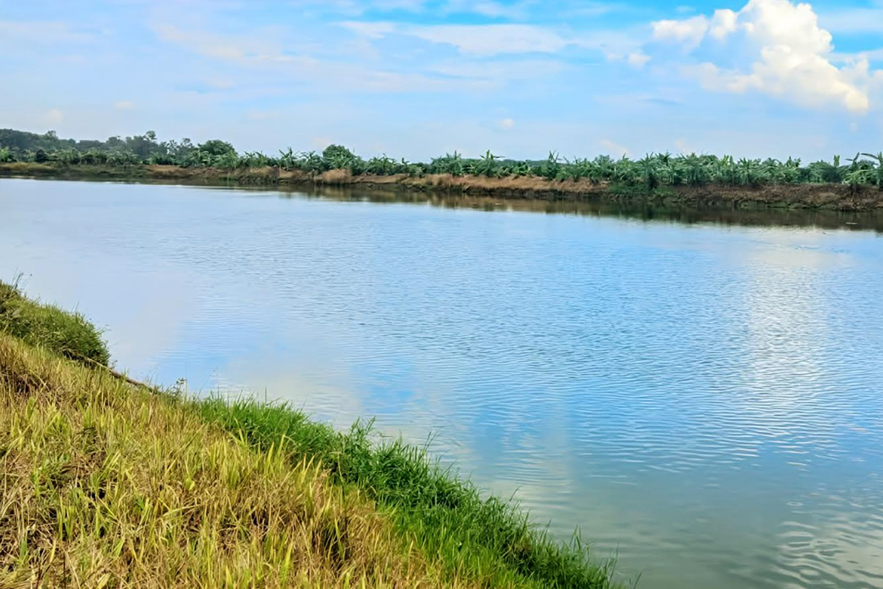 পুকুর পাড়ে নৈশপ্রহুরীকে বেঁধে মাছ চুরি