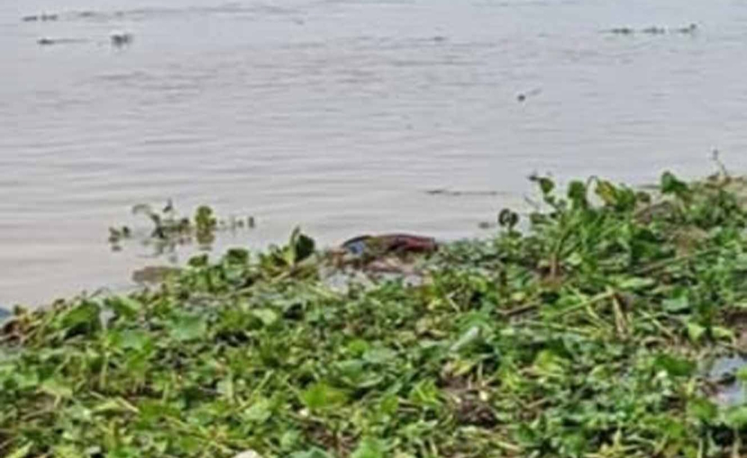 সিরাজগঞ্জে ২ যুককের লাশ উদ্ধার
