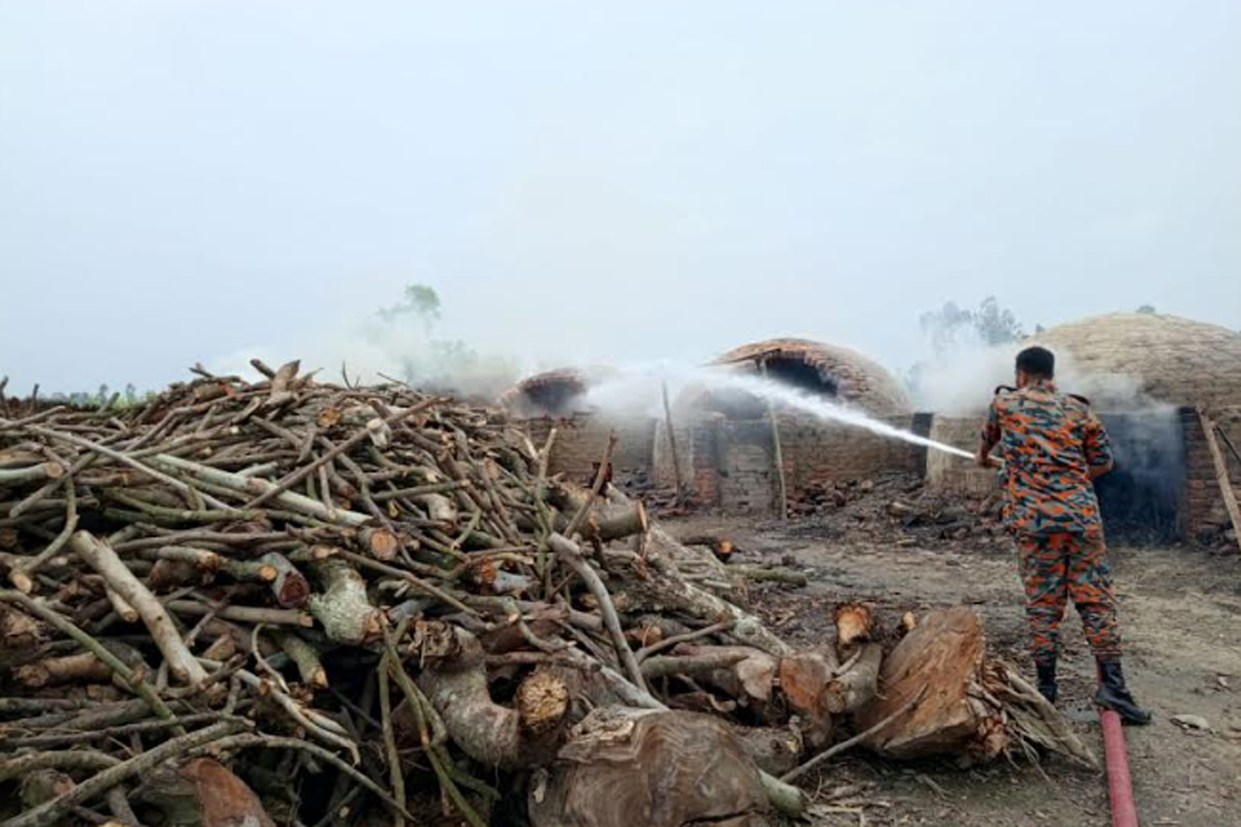 সাঘাটায় অবৈধ কয়লা তৈরির কারখানা গুঁড়িয়ে দিল প্রশাসন