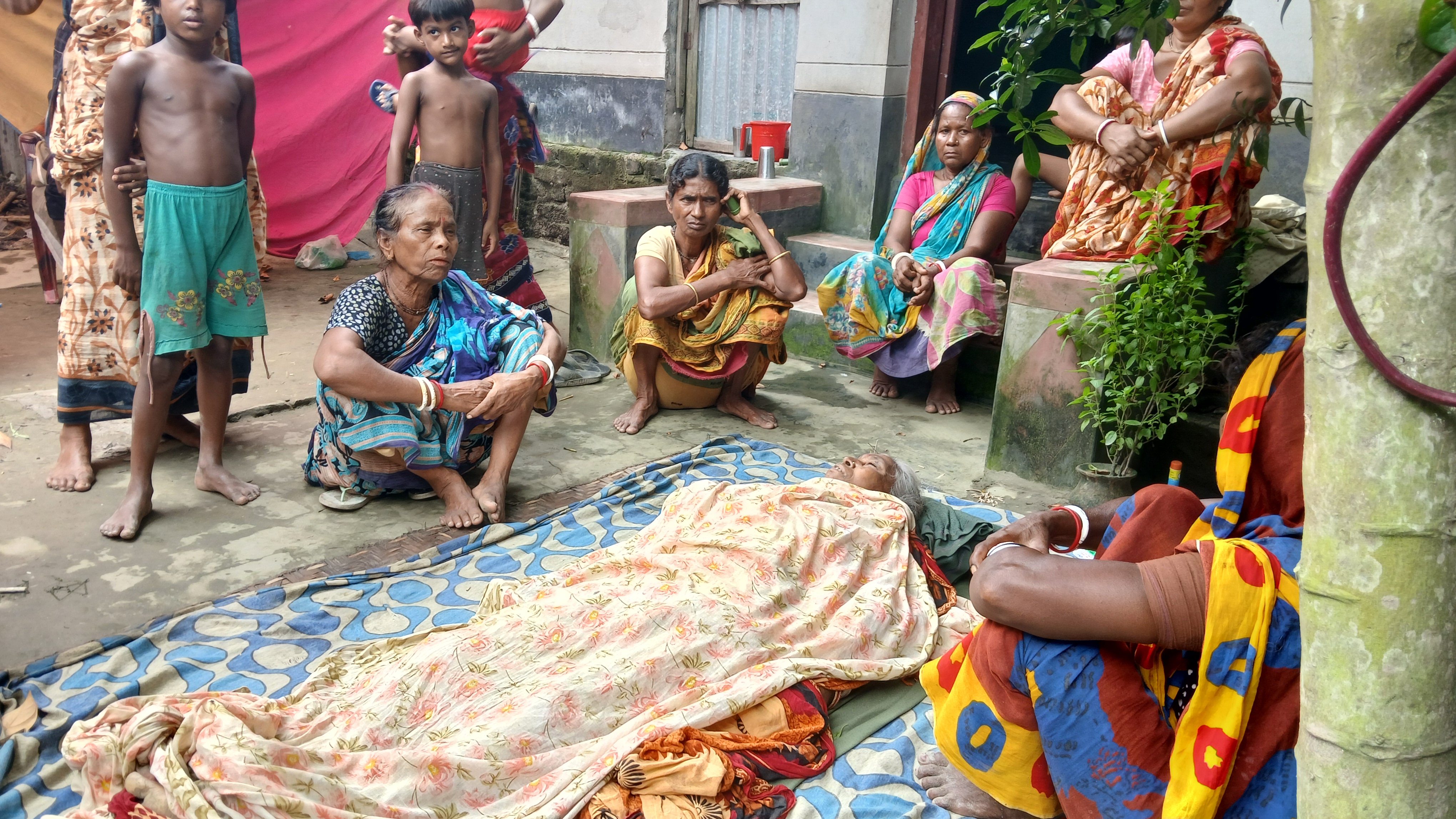 সাঘাটার ভরতখালীতে ট্রাক্টর চাপায় বৃদ্ধার মর্মান্তিক মৃত্যু  