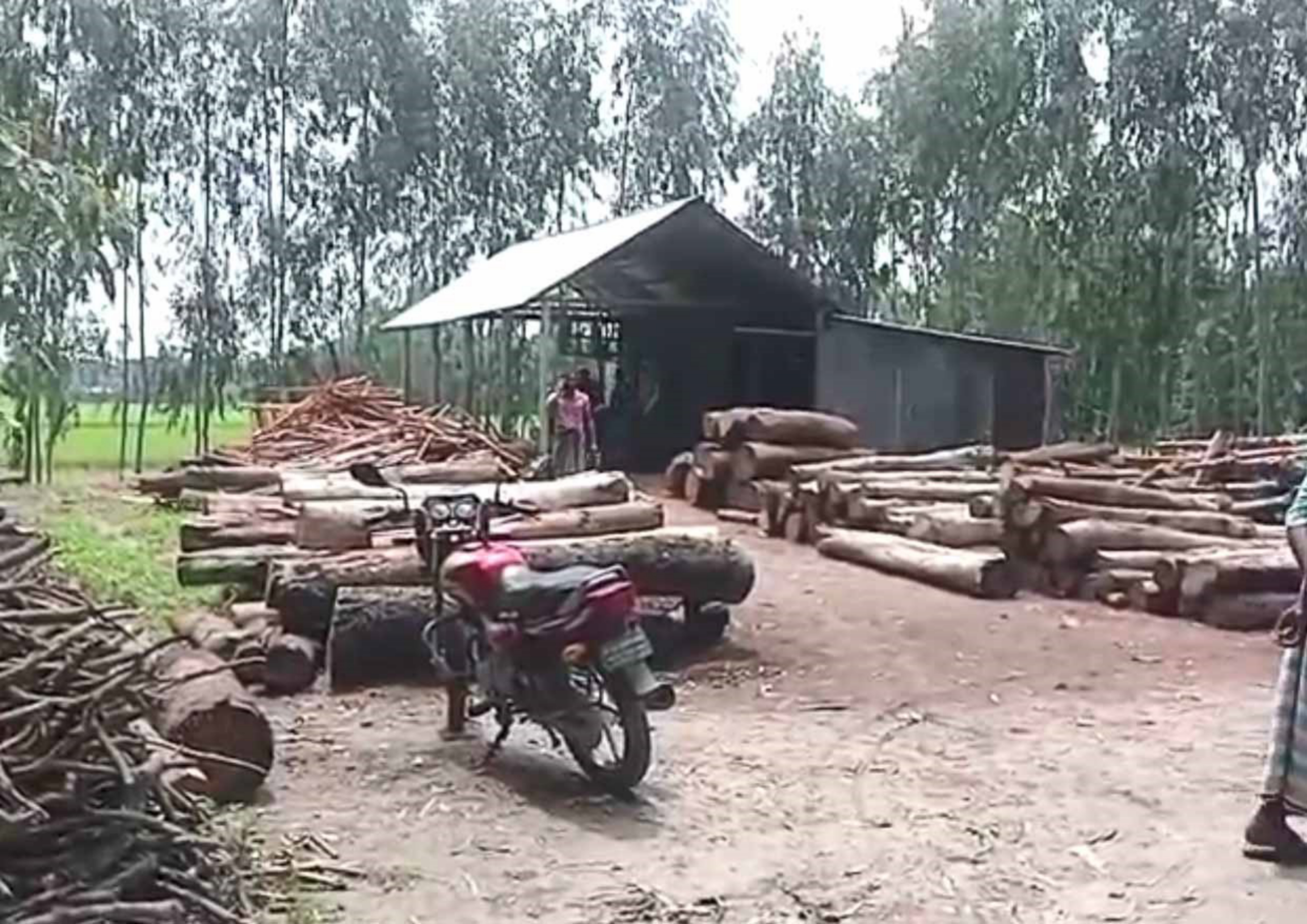 বিধি লঙ্ঘন করে মসজিদের পাশে করাত কল স্থাপন, তদন্তে বিভাগীয় টিম