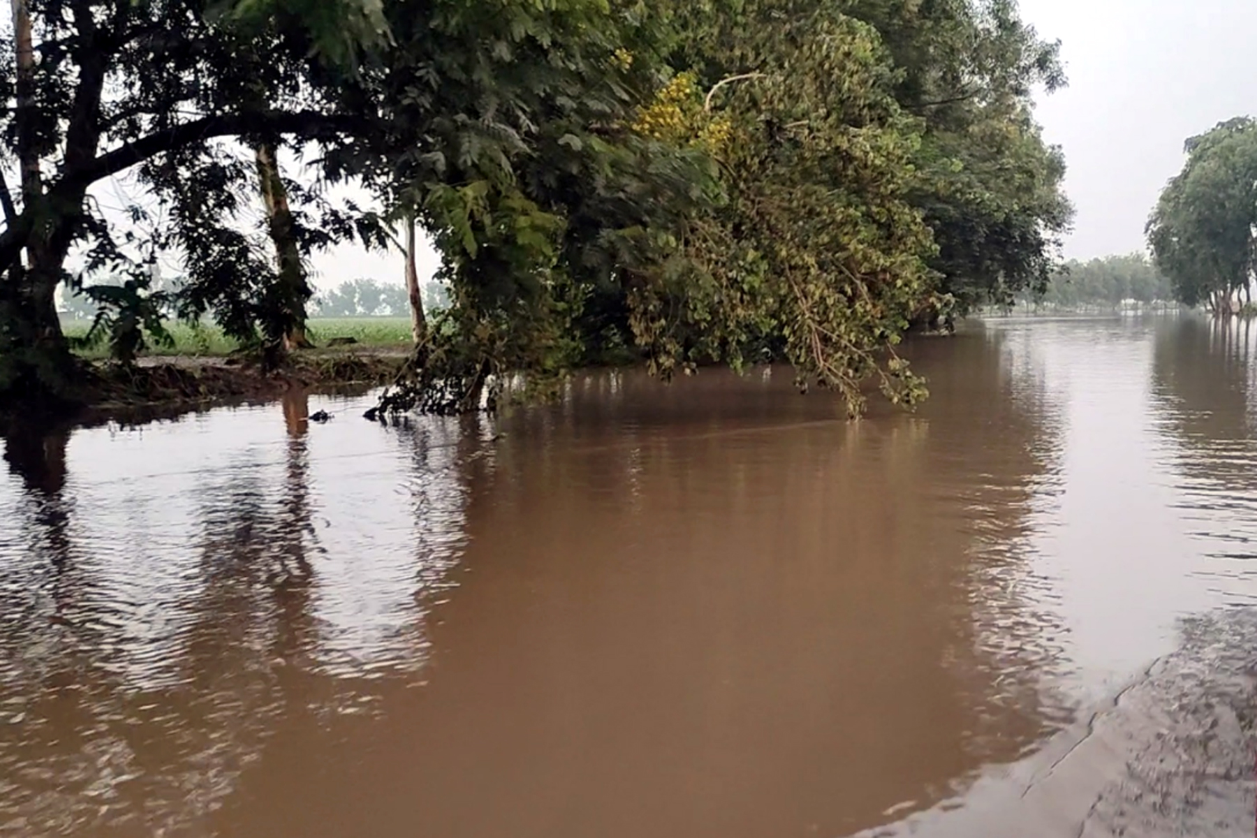 পর্যটকের কাছে জনপ্রিয় হয়ে উঠছে রাণীনগরের ঐতিহ্যবাহী রক্তদহ বিল
