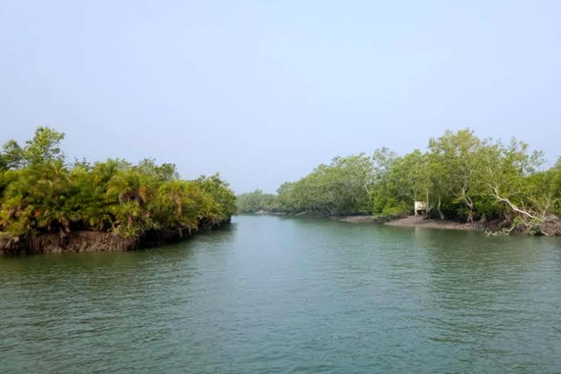 তিন মাস বন্ধ থাকার পর খুলে দেয়া হচ্ছে সুন্দরবনের দুয়ার
