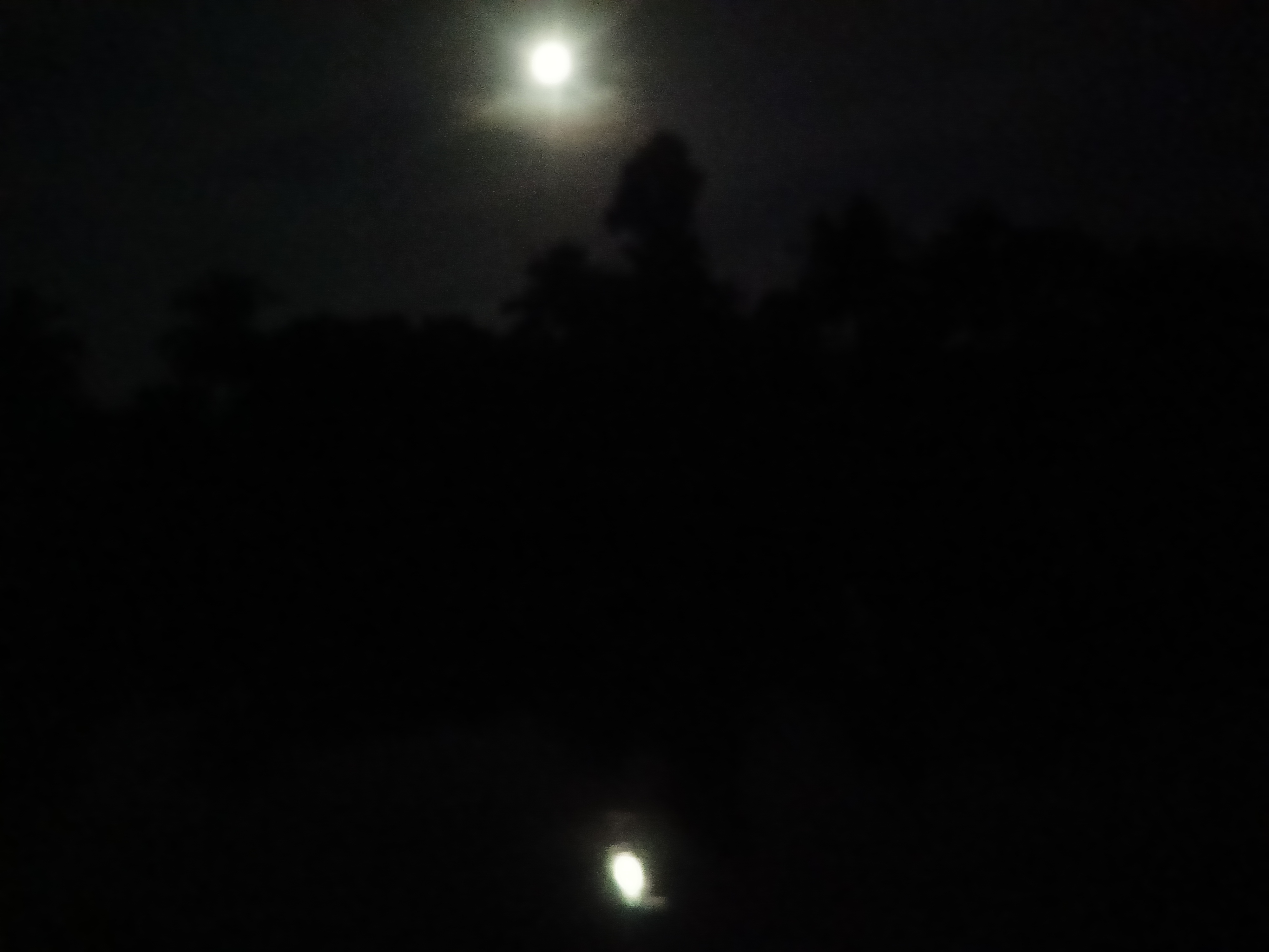 বল তুই কী....