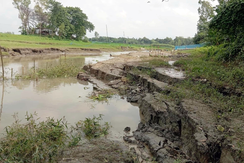 ইসলামপুরে ব্রহ্মপুত্র শাখায় তীব্র ভাঙ্গন, আতংকে এলাকাবাসী