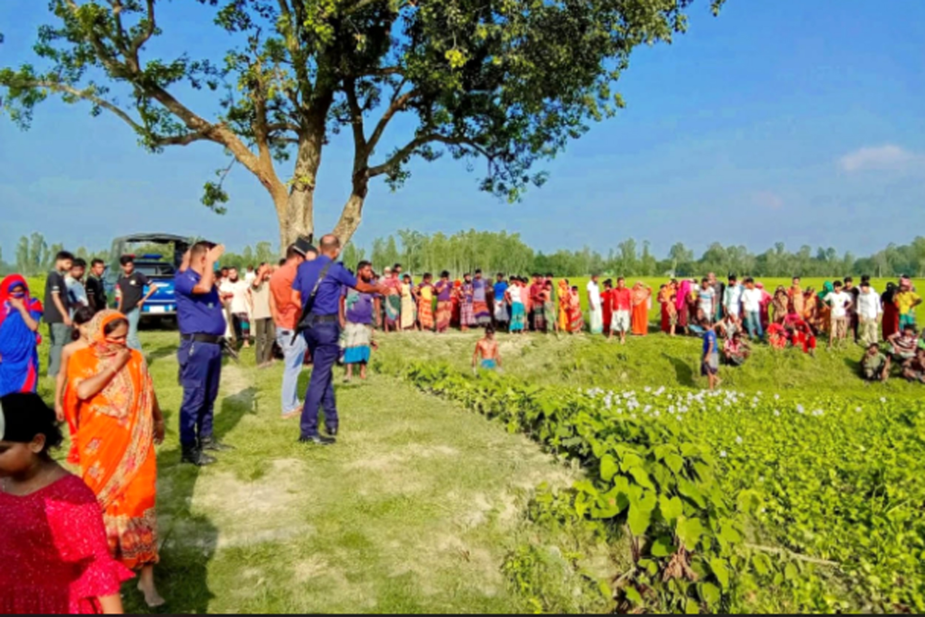 উল্লাপাড়ায় ডোবায় মিলল মাথাবিহীন গলিত লাশ