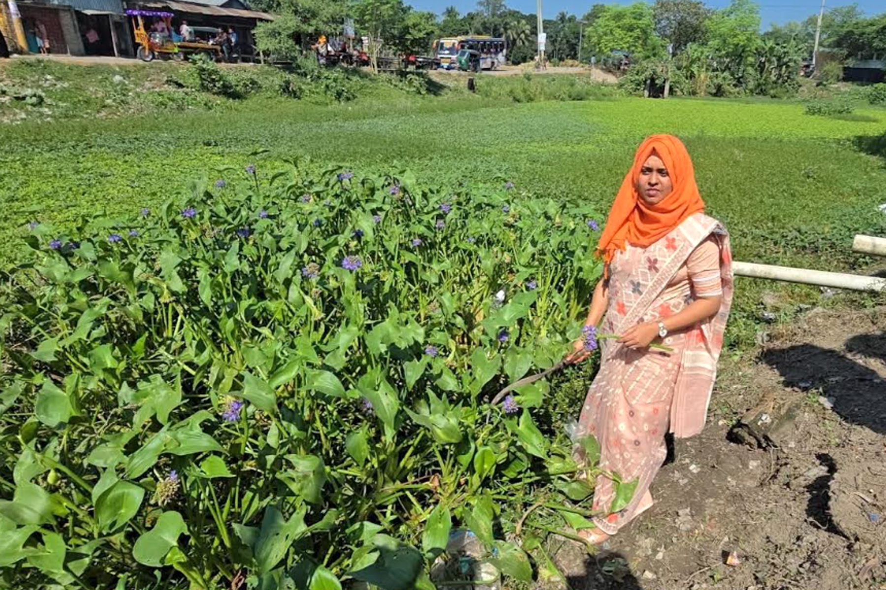 সাঁথিয়া পৌরসভার উদ্যোগে পরিচ্ছন্নতা অভিযান শুরু 