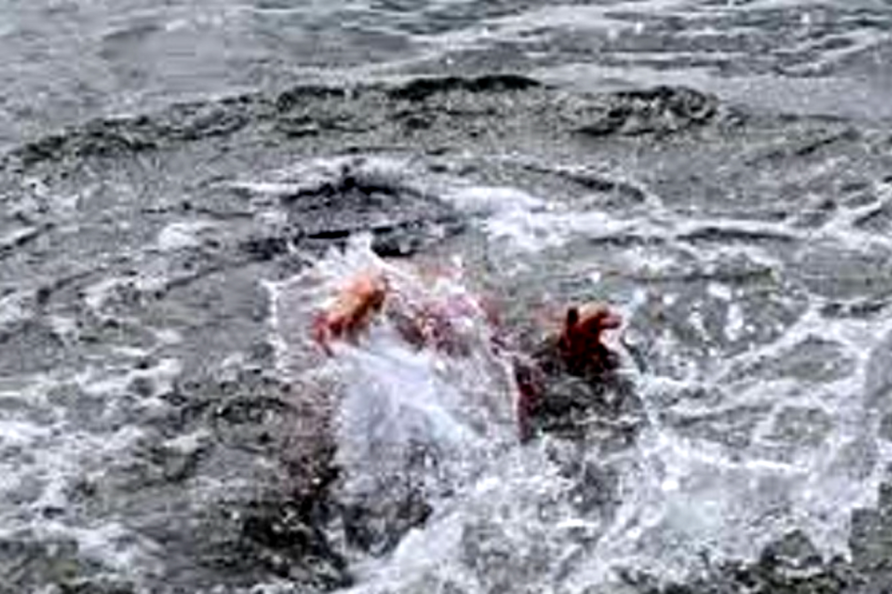 উল্লাপাড়ায় পানিতে ডুবে শিশুর মৃত্যু