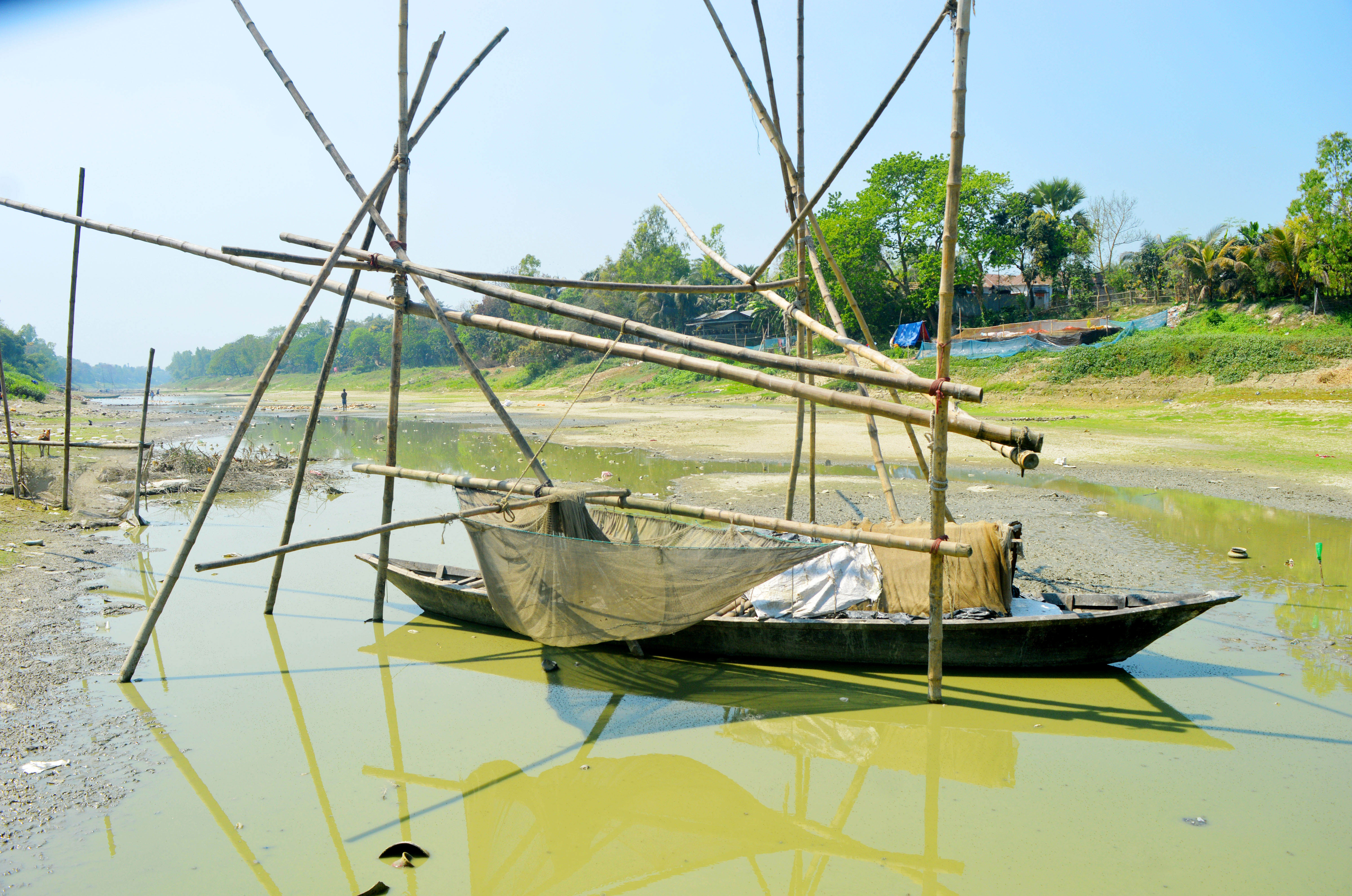 চলনবিলের মরণ দশা