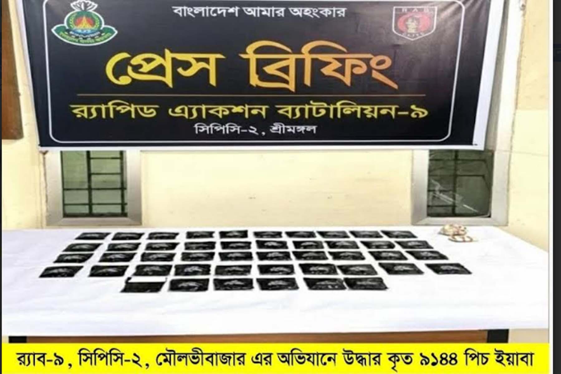 বড়লেখায় র‌্যাব-৯ এর অভিযানে ইয়াবাসহ একজন গ্রেপ্তার