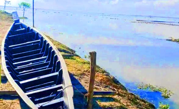 বিলুপ্তির পথে ১৯২ টি বিল