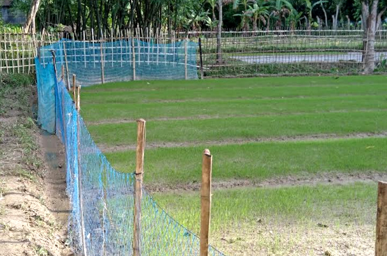 কমলগঞ্জে প্রভাবশালীর বাঁধায় চলাচলের রাস্তাটি প্রতিবন্ধকতার অভিযোগ 