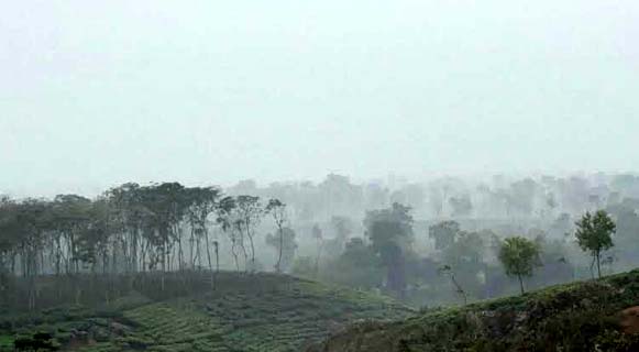 শীতের দাপটে কাঁপছে চায়ের জনপদ শ্রীমঙ্গল