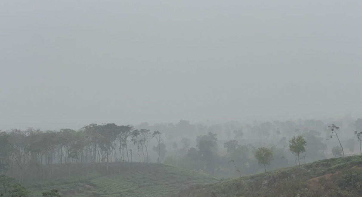 শীতে থর থর চায়ের রাজ্যে