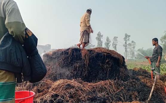 উল্লাপাড়া আগুনে পুড়ল দুই কৃষকের সম্পদ ক্ষতির পরিমান ২ লাখ টাকা 