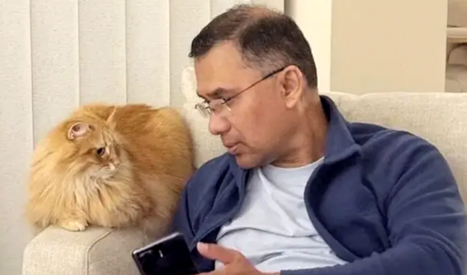 সাইবেরিয়ান বিড়াল জেবু, বাংলাদেশের আবহাওয়ায় খাপ খাওয়া ও যত্ন