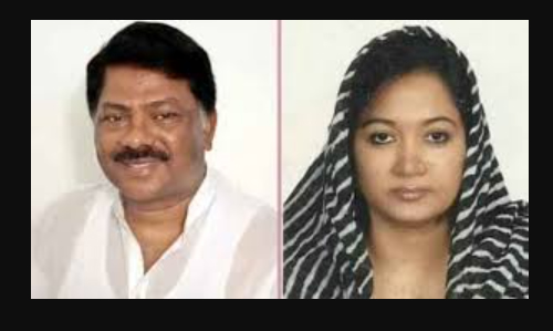 দুলুর বার্ষিক আয় ৭৩ লাখ, স্ত্রীর ২ কোটি ৬৮ লাখ—হলফনামায় প্রকাশ