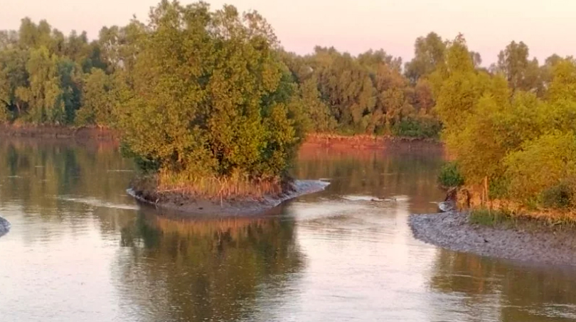 টানা তিন দিন গোলাগুলি ও বিস্ফোরণের শব্দে আতঙ্কিত টেকনাফ সীমান্তের মানুষ