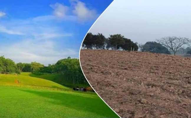 ঐতিহ্যবাহী পর্যটন কেন্দ্র গলফ মাঠ খুঁড়ে চা চাষের উদ্যোগে নিন্দা