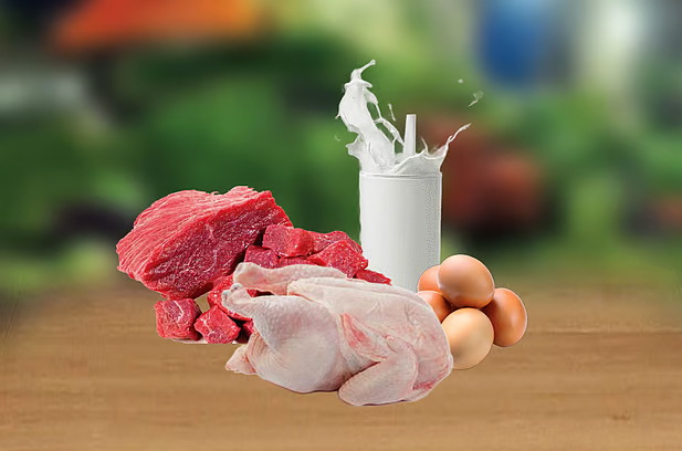 রমজানে ৬৫০ টাকায় গরুর মাংস ও ৮ টাকায় ডিম বিক্রি করবে সরকার