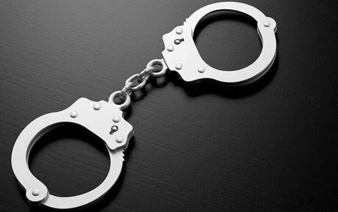 জামায়াত আমিরের এক্স অ্যাকাউন্ট বিতর্ক: বঙ্গভবনের সহকারী প্রোগ্রামার ডিবি হেফাজতে