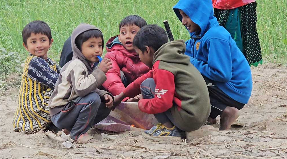 পদ্মার চরে শিক্ষার হাহাকার: স্কুল পুড়িয়ে দখল করেছে মহিষের বাথান, অন্ধকারে হাজারো শিশু