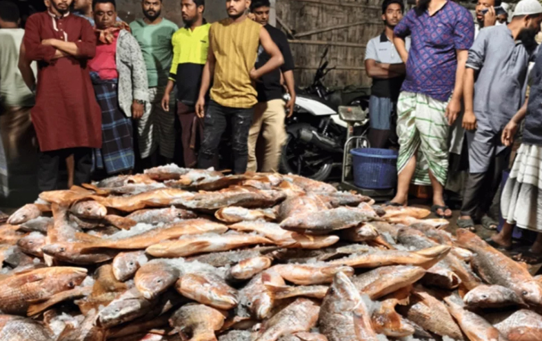 জালে ধরা পড়ল ১১০০ লাল কোরাল, বিক্রি ৩১ লাখে