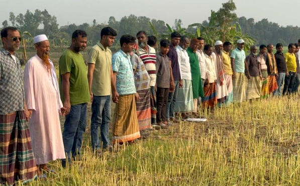 সিংড়ায় জমি নিয়ে বিরোধের জেরে কৃষকের আবাদকৃত সরিষা কেটে নিল প্রতিপক্ষ