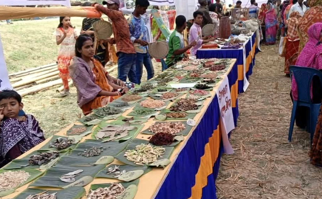 শ্যামনগরে বিলুপ্তপ্রায় শাক-লতা ও গ্রামীণ ঐতিহ্যের মেলা